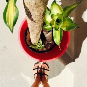 J crew sandals
